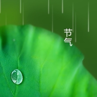 绿色小清新雨中叶子雨水节气公众号次图