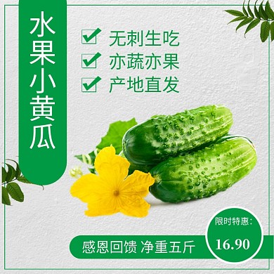 清凉风夏季美食节农产品黄瓜蔬菜丰收季主图