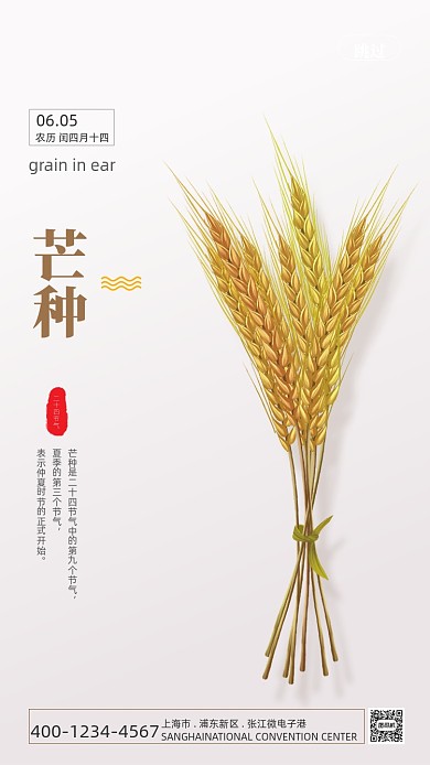 时尚简约芒种海报