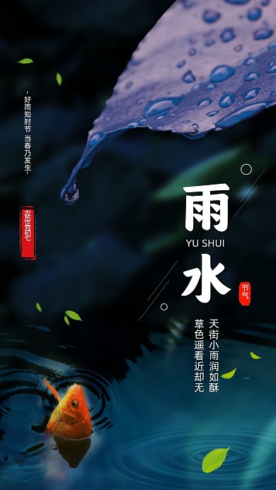 雨水节气清新简约摄影节气手机海报