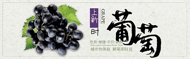 白色水果葡萄新鲜上市促销banner