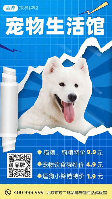 宠物生活馆摄影图海报