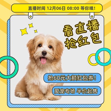 宠物专场直播领券促销手绘卡通主图