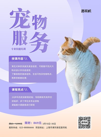 宠物服务紫色专业培训印刷海报