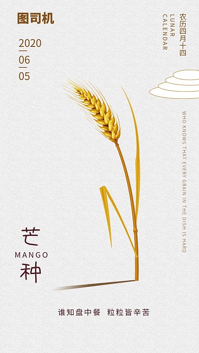 大气简约芒种节气海报