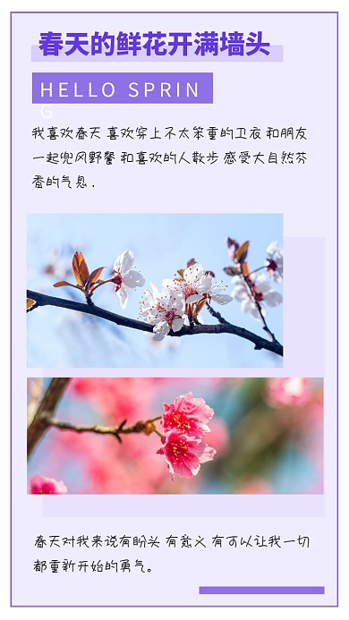 春天踏青旅游春暖花开看樱花竖版配图