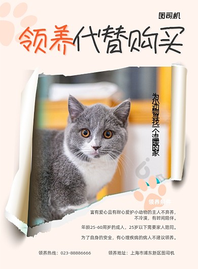 领养代替购买宠物商务印刷海报