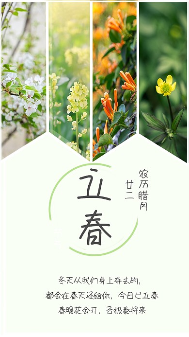 立春春天来了摄影图竖版配图