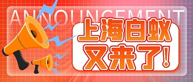 简约大气上海白蚁又来了白蚁又来了公众号封面