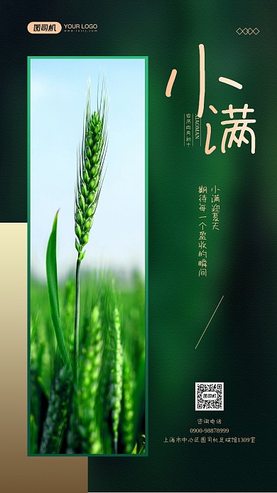 小满节气小麦摄影图宣传手机海报