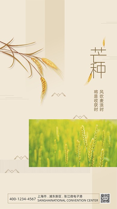 时尚简约芒种海报