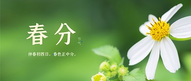 绿色春分清新摄影图节气公众号首图