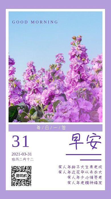 日签早安春天紫罗兰手机海报