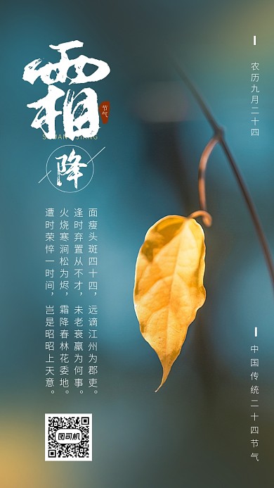 大气简约霜降节气手机海报