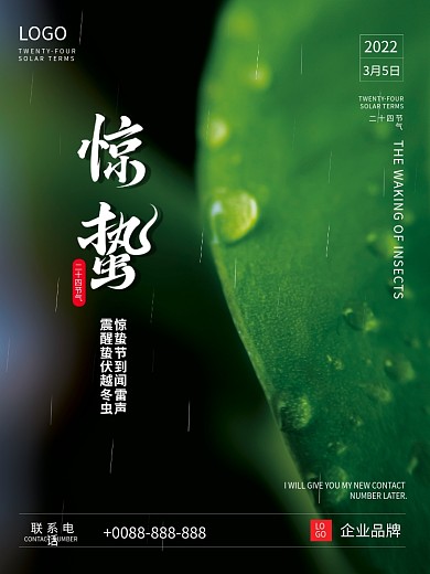 惊蛰雨水节日节气海报水滴水珠绿叶小清新
