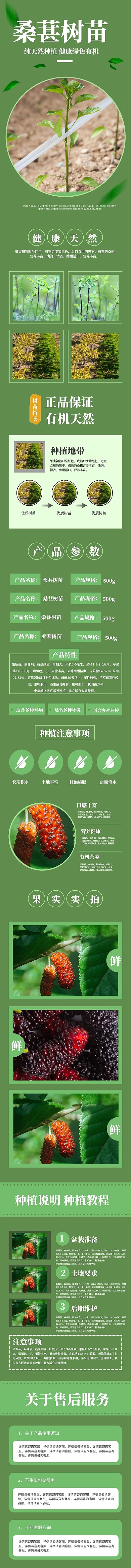 桑葚绿色有机植物产品详情页