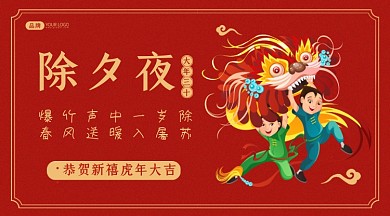 欢度除夕夜摄影图海报