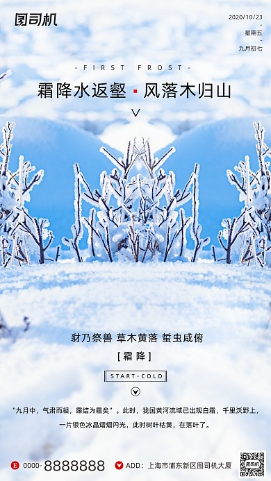 霜降节气摄影图冰霜白色简约手机海报