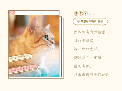 宠物猫感谢有你横版配图