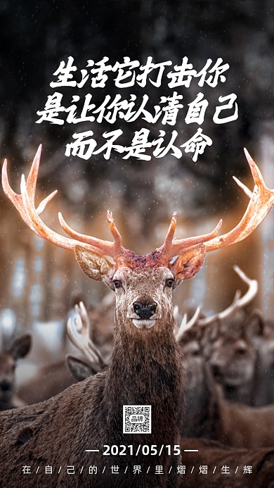 每日一签可爱麋鹿摄影图摄影图海报