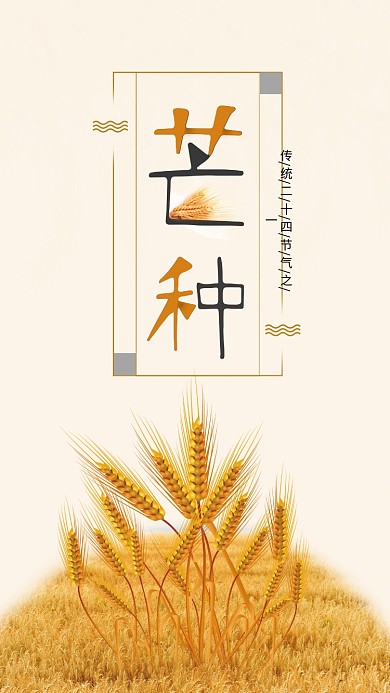 简约黄色背景24节气芒种手机用图