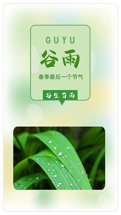 谷雨二十四节气春天竖版配图