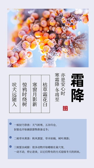 霜降节气简约文章配图