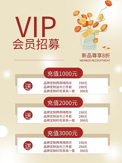 VIP会员招募充值进行中