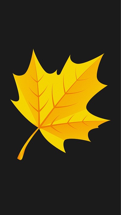 枫叶插画简约壁纸