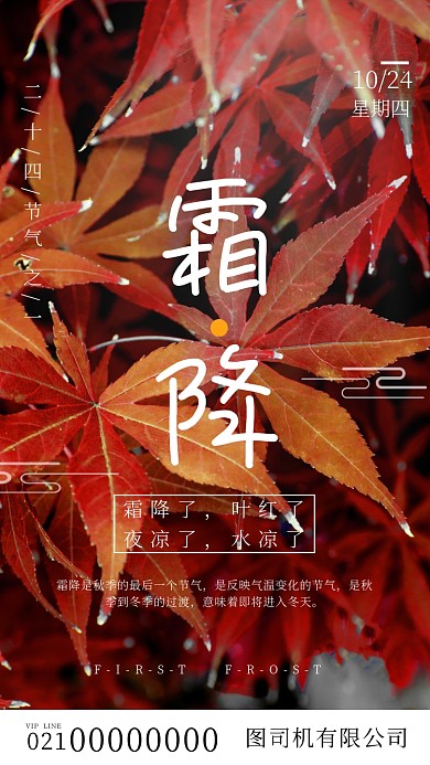 二十四节气霜降节气宣传手机海报