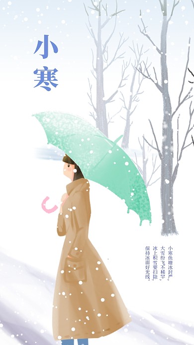 简约插画小寒手机海报