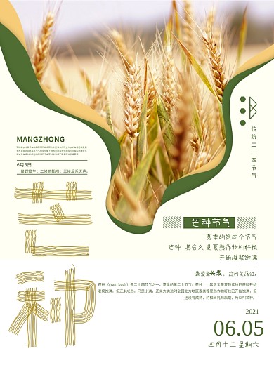 二十四节气小清新绿植芒种海报