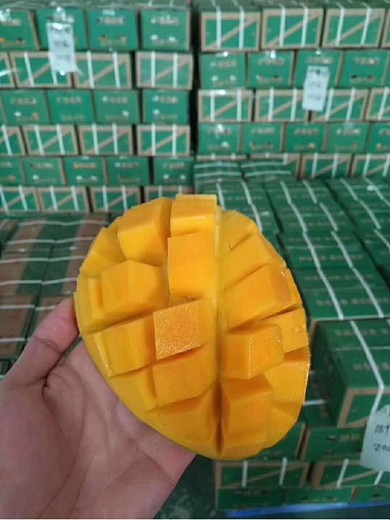 粉红色美容院项目价格表设计图