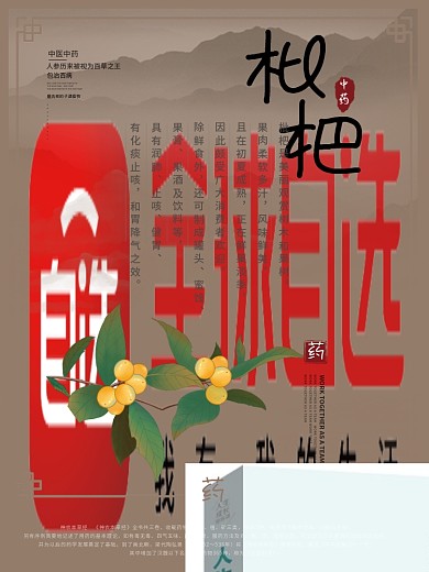 中国风中医人参石斛枸杞枇杷宣传海报