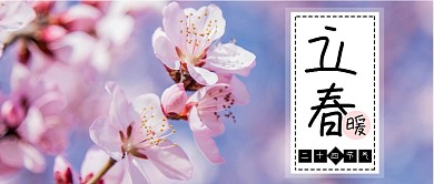 粉紫色春天樱花自然花开节气立春微信公众号素材图片