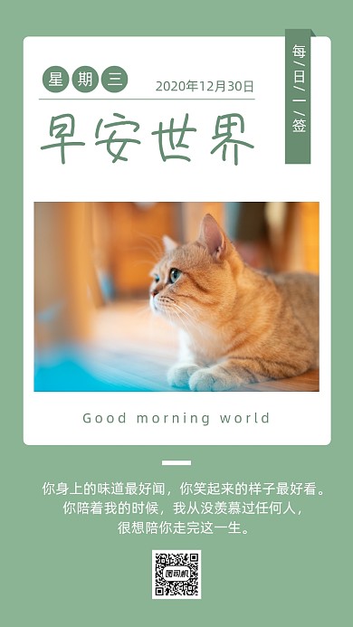 早安世界小清新喵咪日签月签