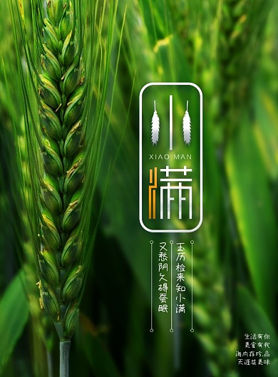 简约创意小满传统节日海报