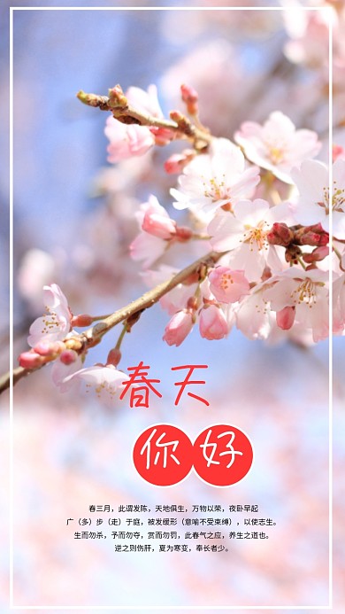 清新简约春天你好手机用图