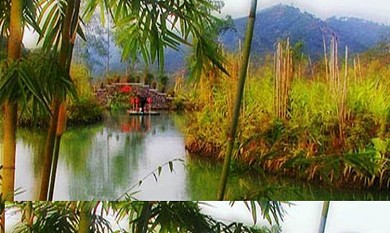 可爱卡通绘画艺术教育培训名片