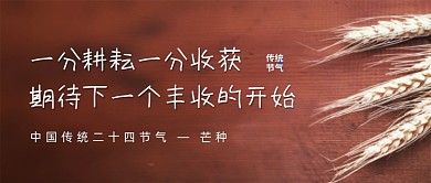芒种传统节气公众号封面