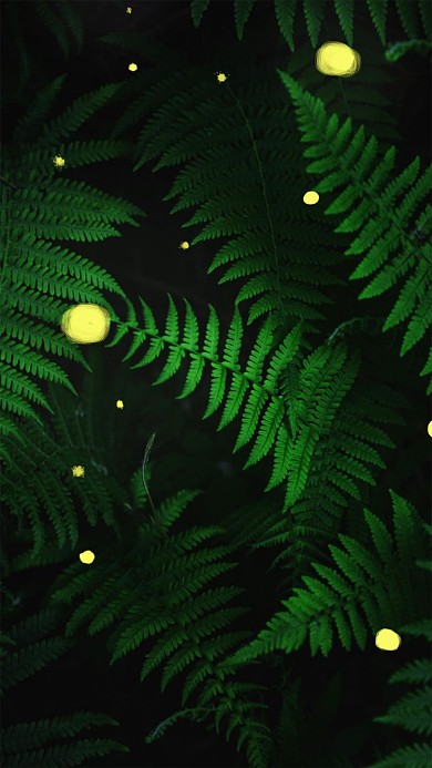 暗调绿植养眼手机壁纸