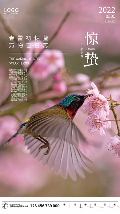 中国传统二十四节气惊蛰摄影图海报