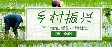 乡村振兴公众号首图
