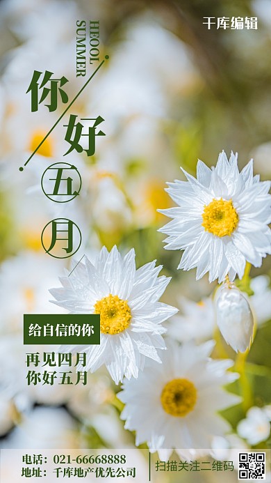 你好五月雏菊绿色摄影图手机海报