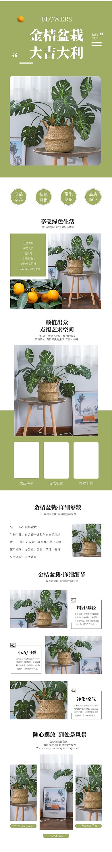 绿色简约大气盆栽鲜花电商淘宝详情页