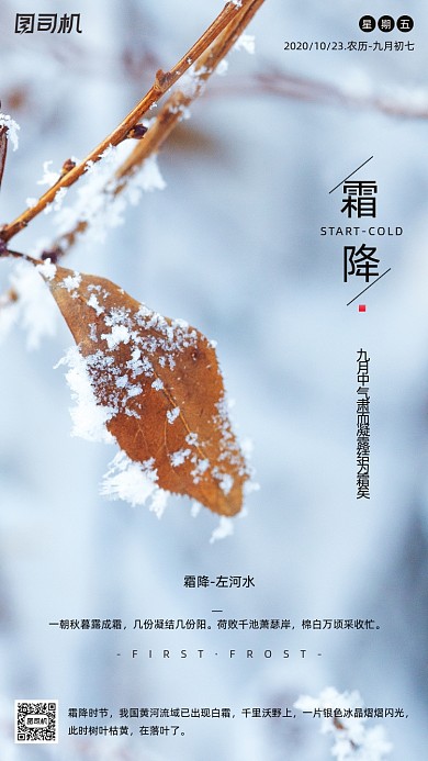 霜降节气摄影图冰霜清新文艺手机海报