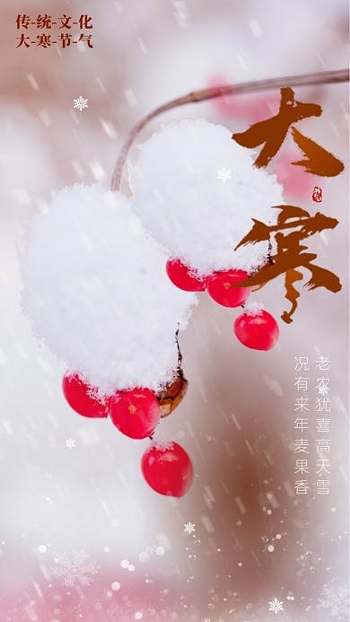 二十四节气大寒启动页海报
