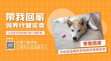 宠物领养公益清新手机横版手机海报