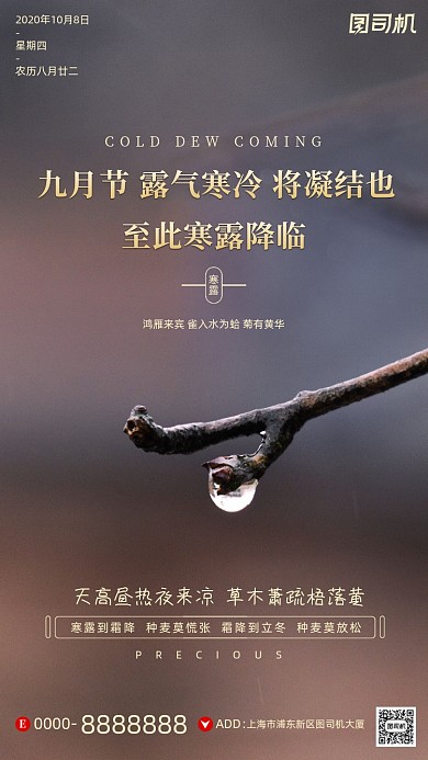 寒露节气露水树枝摄影图手机海报