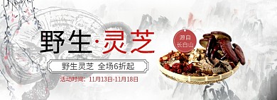 天猫长白山野生灵芝限时优惠促销淘宝banner